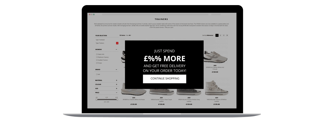 Ash Footwear Case Study Image